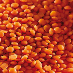Barhoum Food: Rote Linsen